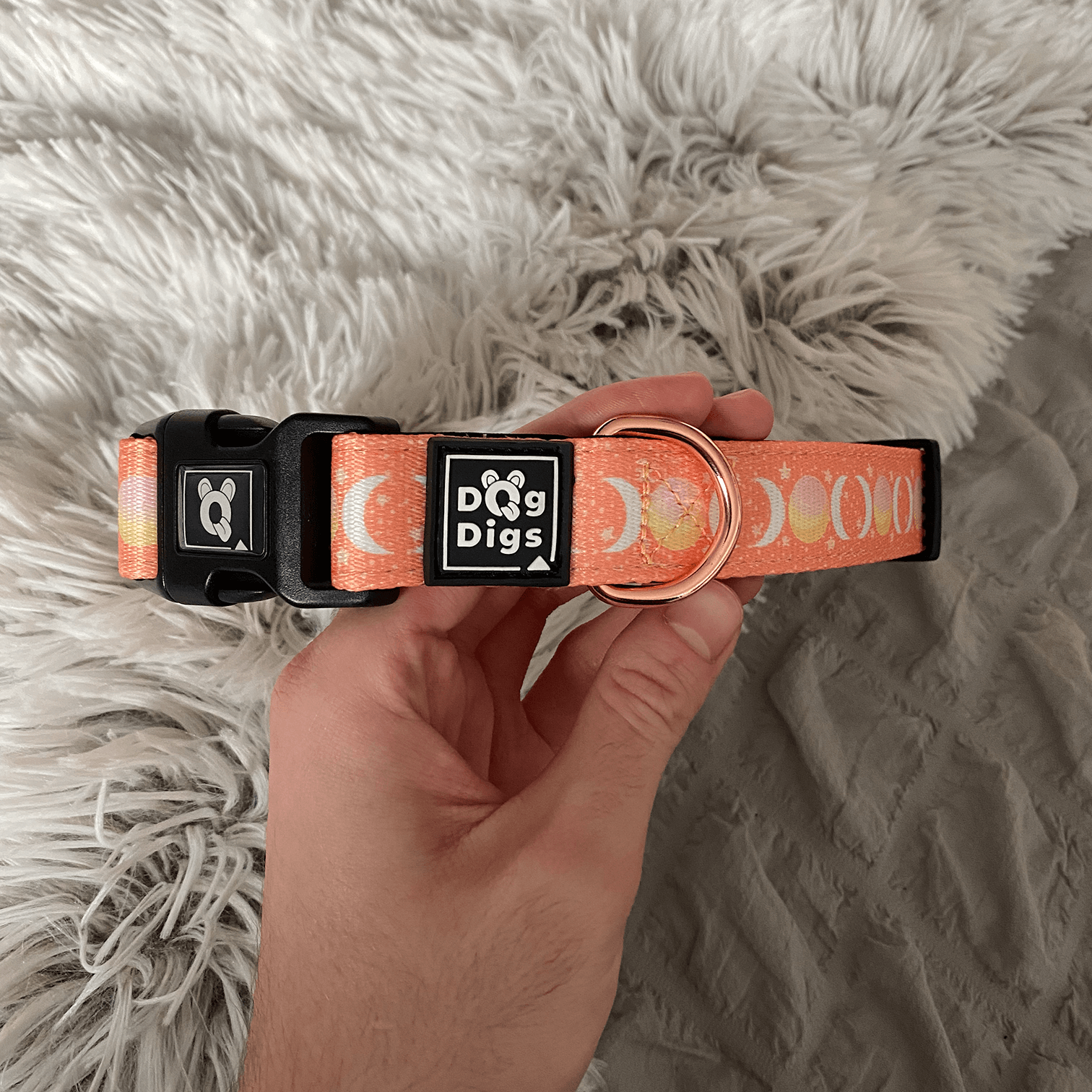 Peach Dreams - Collar Dog Collar Dog Digs 