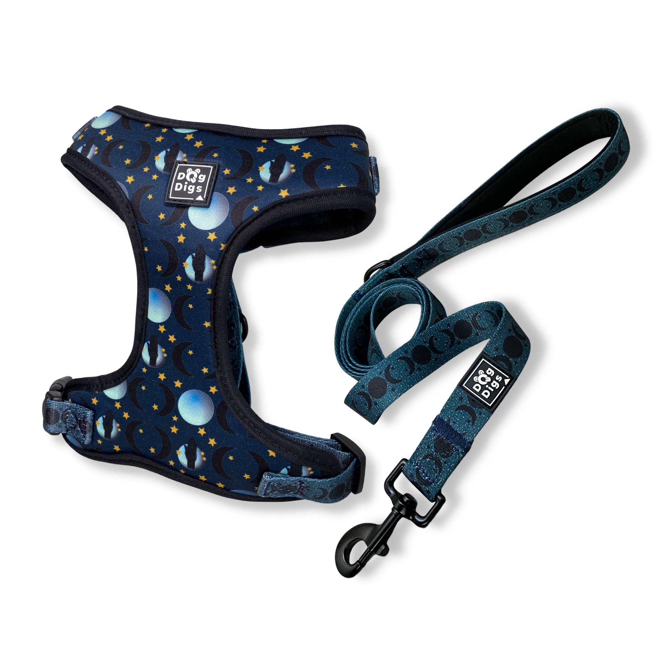 Blue Moon - Harness & Lead bundle