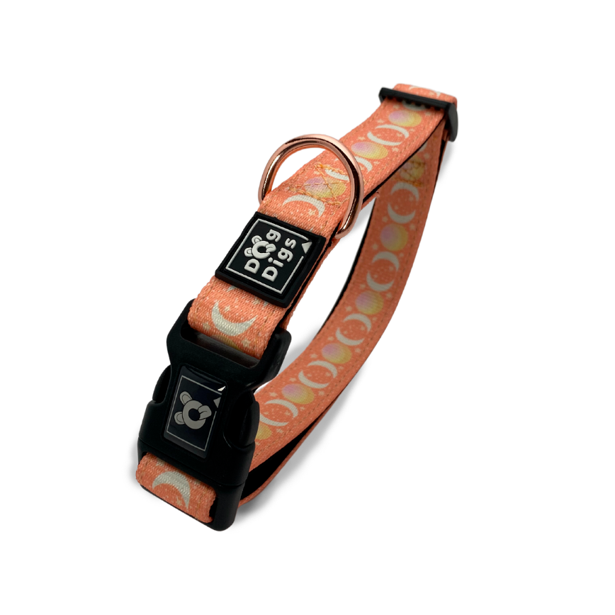 Peach Dreams - Collar Dog Collar Dog Digs 