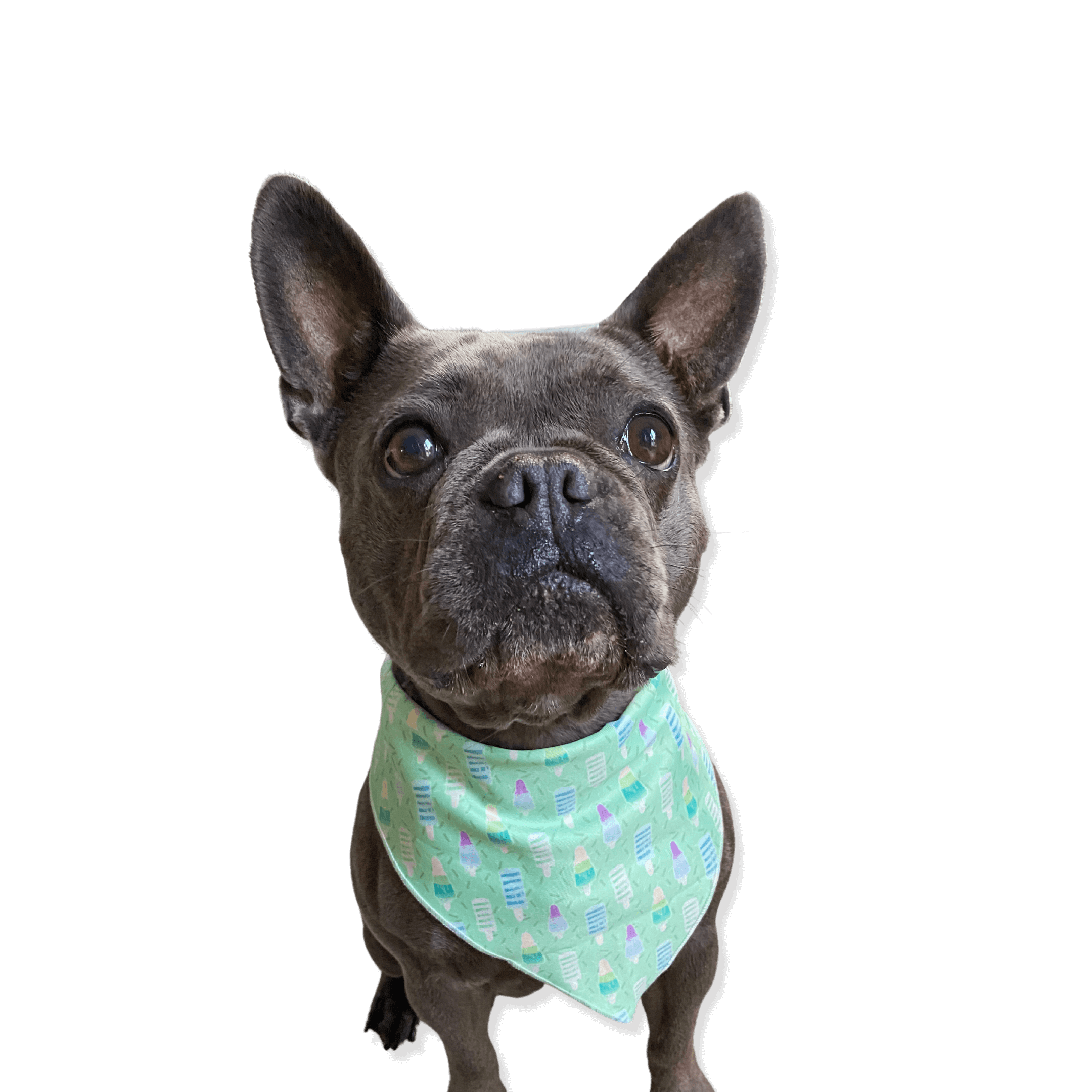 Mint Freeze - Dog Bandana