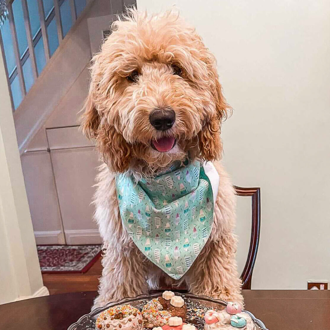Mint Freeze - Dog Bandana