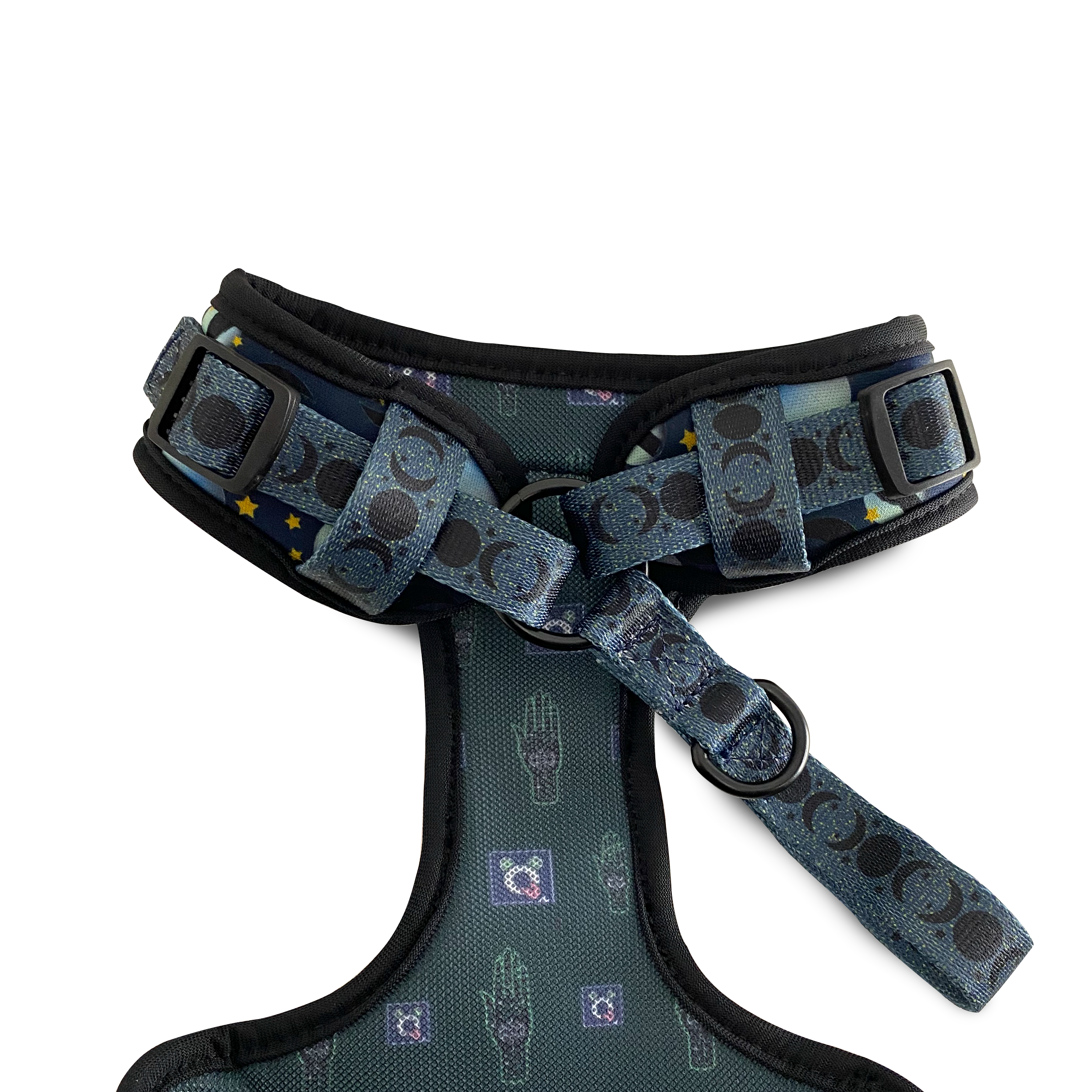 Once in a Blue Moon - Harness Dog Harness Dog Digs 