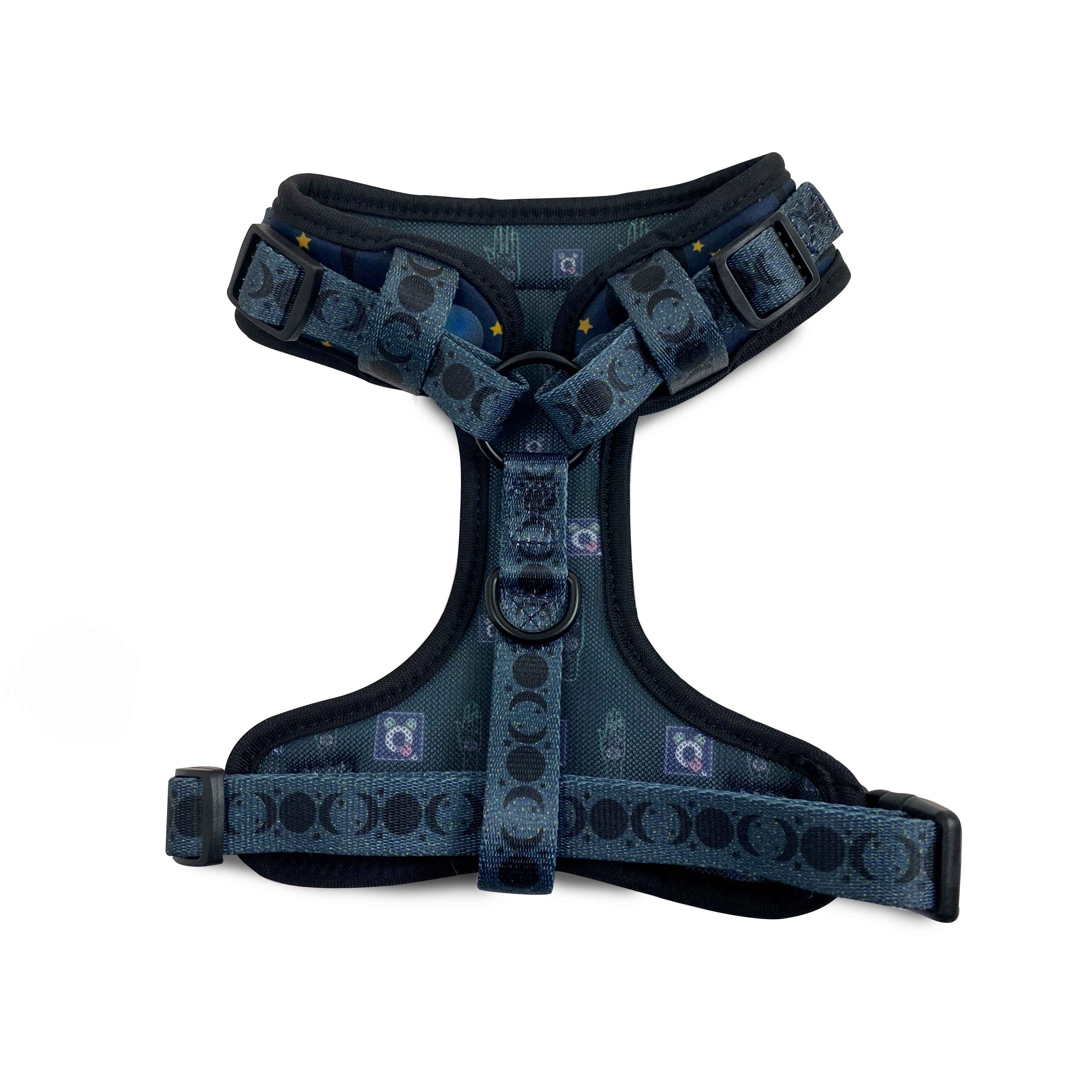 Once in a Blue Moon - Harness Dog Harness Dog Digs 