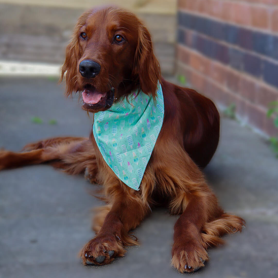 Mint Freeze - Dog Bandana