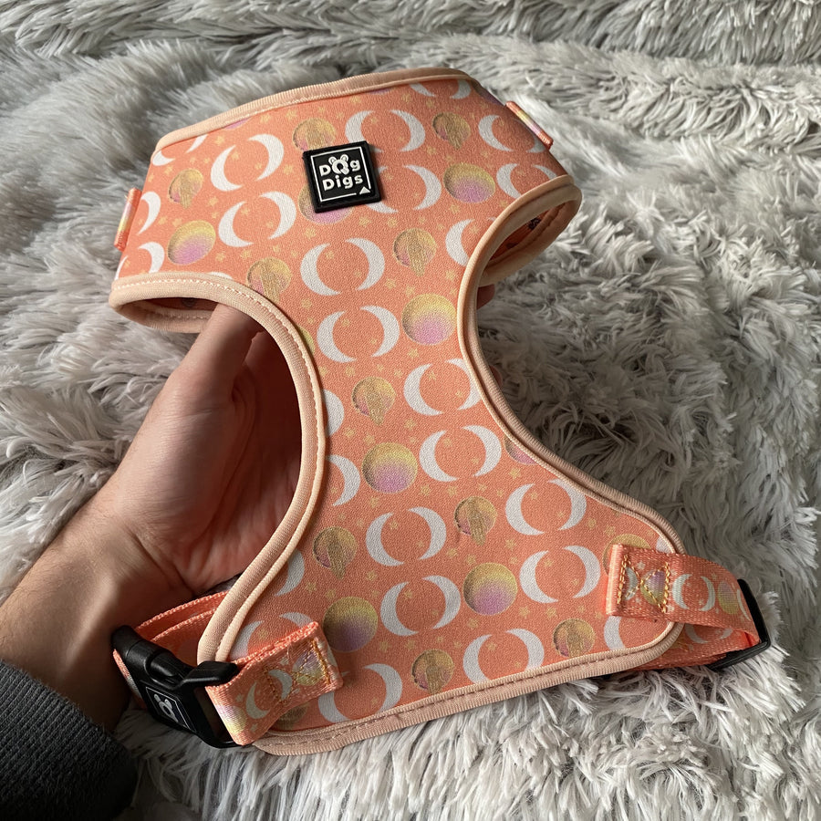Peach Dreams - Harness & Lead bundle