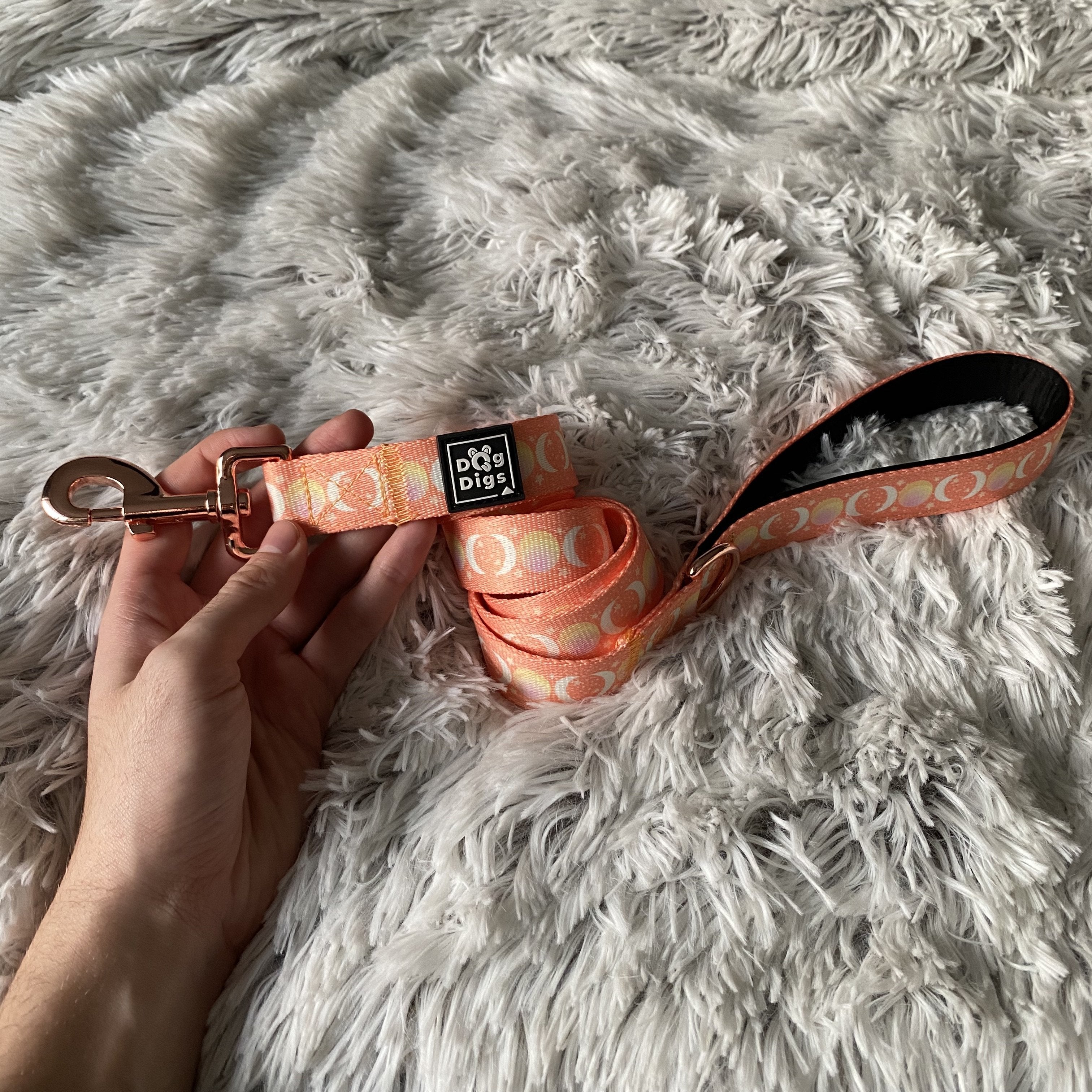 Peach Dreams - Lead Dog Lead Dog Digs 